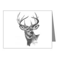 whitetailed_deer_note_cards_pk_of_20