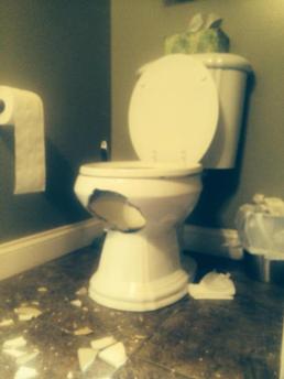 10527670_781783088509436_8722114083465655258_n