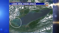 algae-lake-erie-toledo-water-crisis