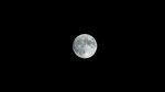 stock-footage-hd-full-moon-on-dark-sky-canon-xh-a-fullhd-video-p-fps-progressive-scan