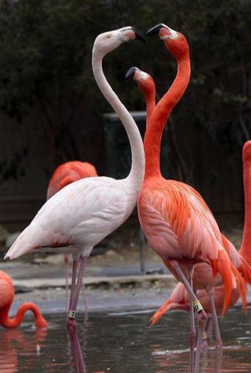 10968360_10153048589612902_3198913373537504650_n