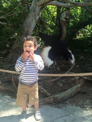 11043527_10153402893061694_2501600172867821172_n