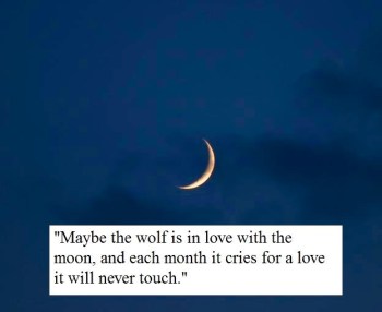 15614_594538560681984_2478758623570925226_n (1)