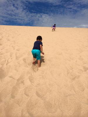 11802781_10153587088281694_4693039249380184033_o