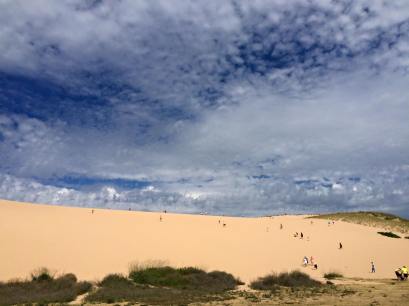 11807294_10153587070801694_4275931625983698736_o