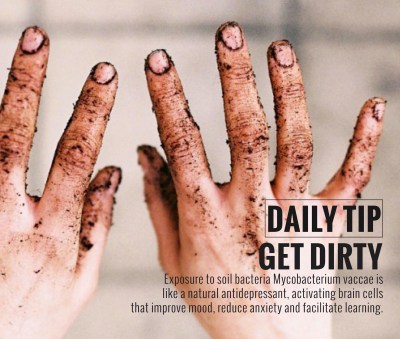 11174454_10153265473713874_5709600726262497300_o (1)