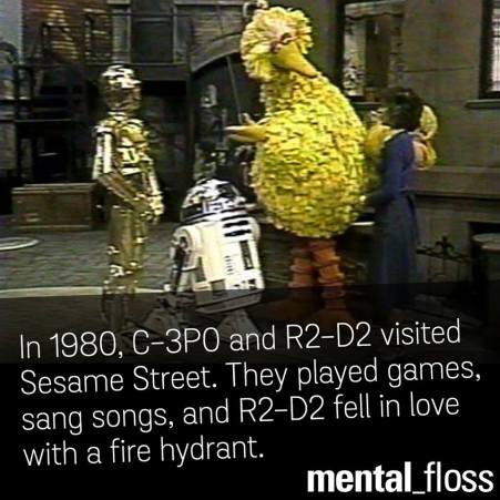 12342714_10153769229097365_6612508091398352628_n