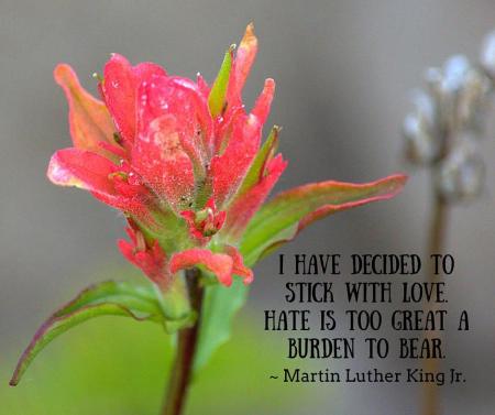 1660421_1006030429459973_415099407534698100_n