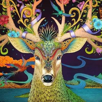 1937110_1100096993334141_8553872109433439344_n