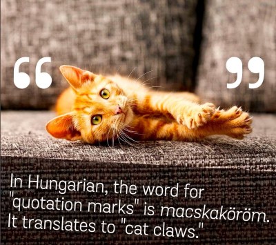 12747456_10153914762847365_4038576730019872425_o (1)