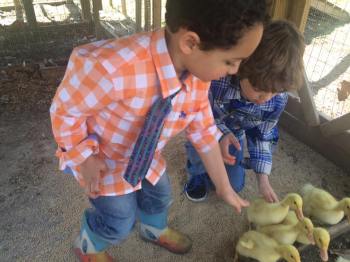 12803256_10154131557826694_702670650690326558_n