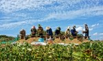 foodtank.com