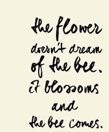 12400869_862975787152446_2163494829266775747_n (1)