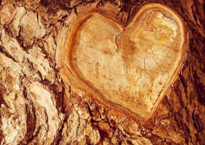 14372020_10154500817662365_2949834209093097469_o-1