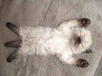 635699290894331880-1846865183_47d095f1cf83cf239d7991043ce79b63