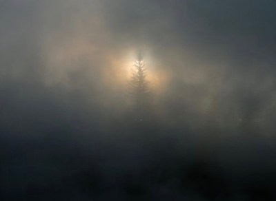 281777_163560550383307_1762890_n-2