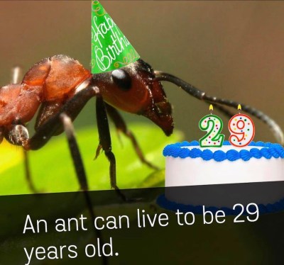 17039343_10155045208037365_1186576793748822287_o-2